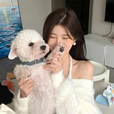 卡布里革命 海报